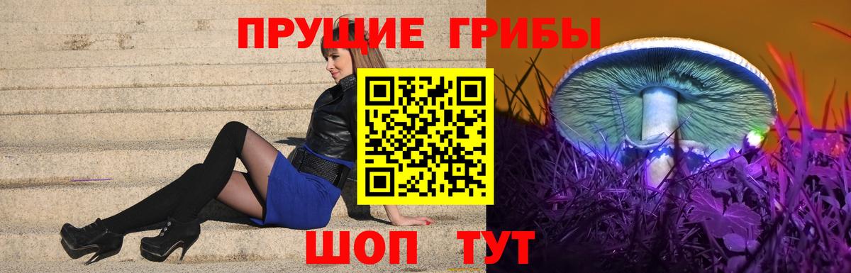 Галлюциногенные грибы MAGIC MUSHROOMS Донской
