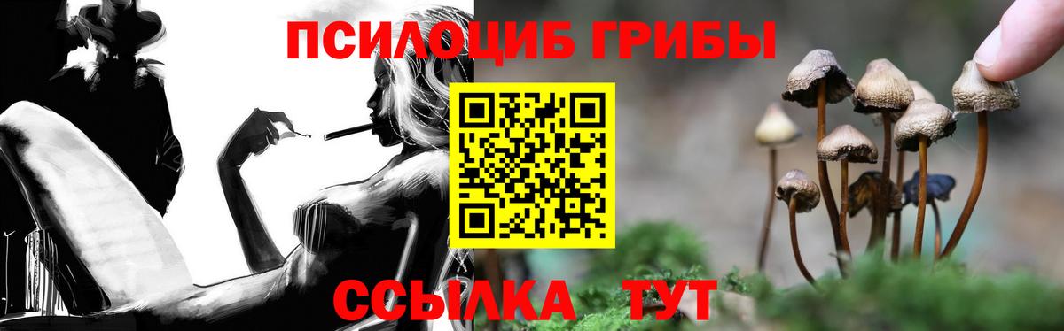 Псилоцибиновые грибы прущие грибы  Вход с VPN  что такое   Донской 